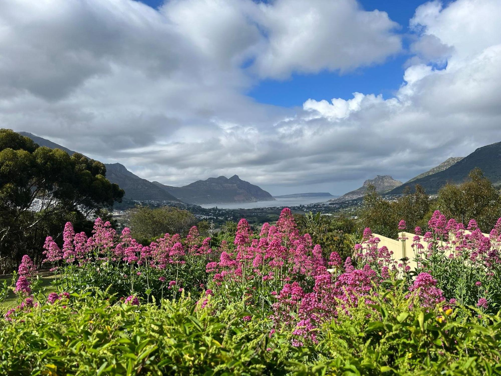 Pure Guest House Hout Bay Eksteriør billede